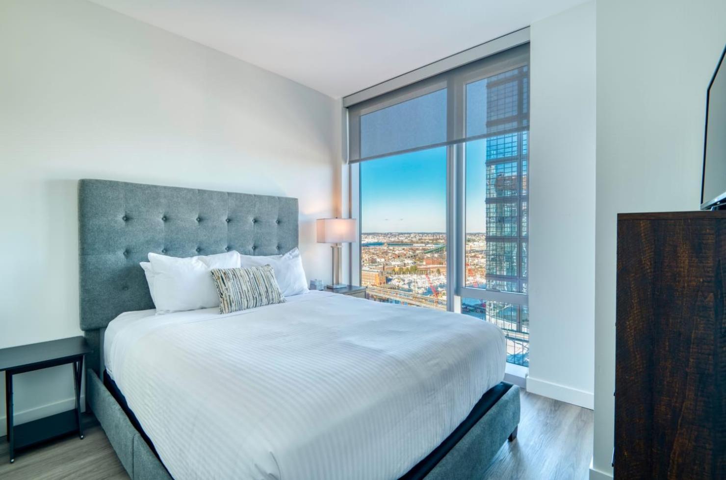 Luxury With Views Apartment Boston
